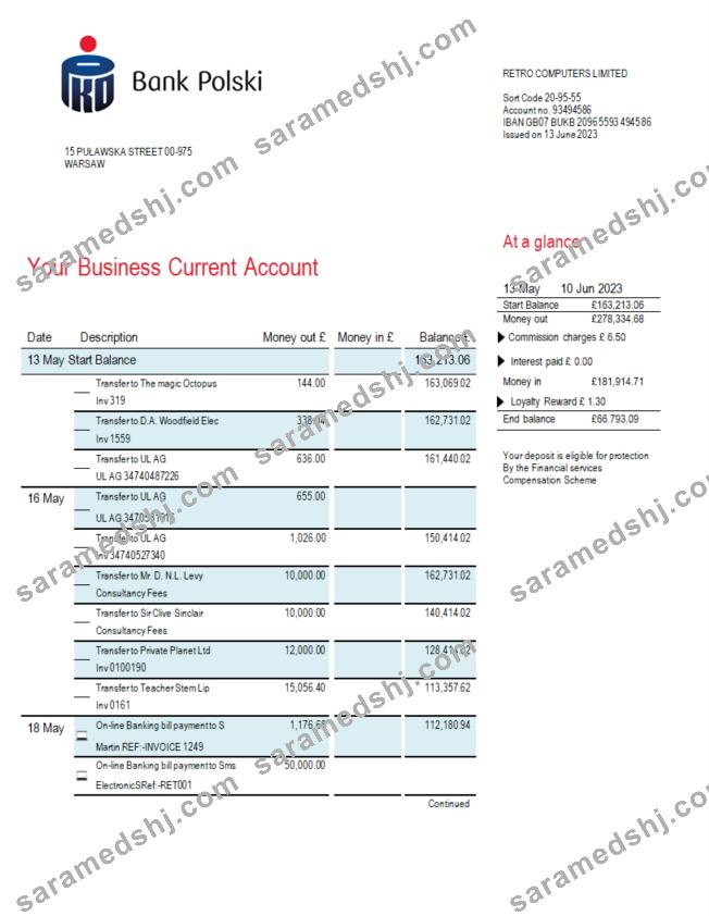 PKO Bank Polski corporate statement Word and PDF template